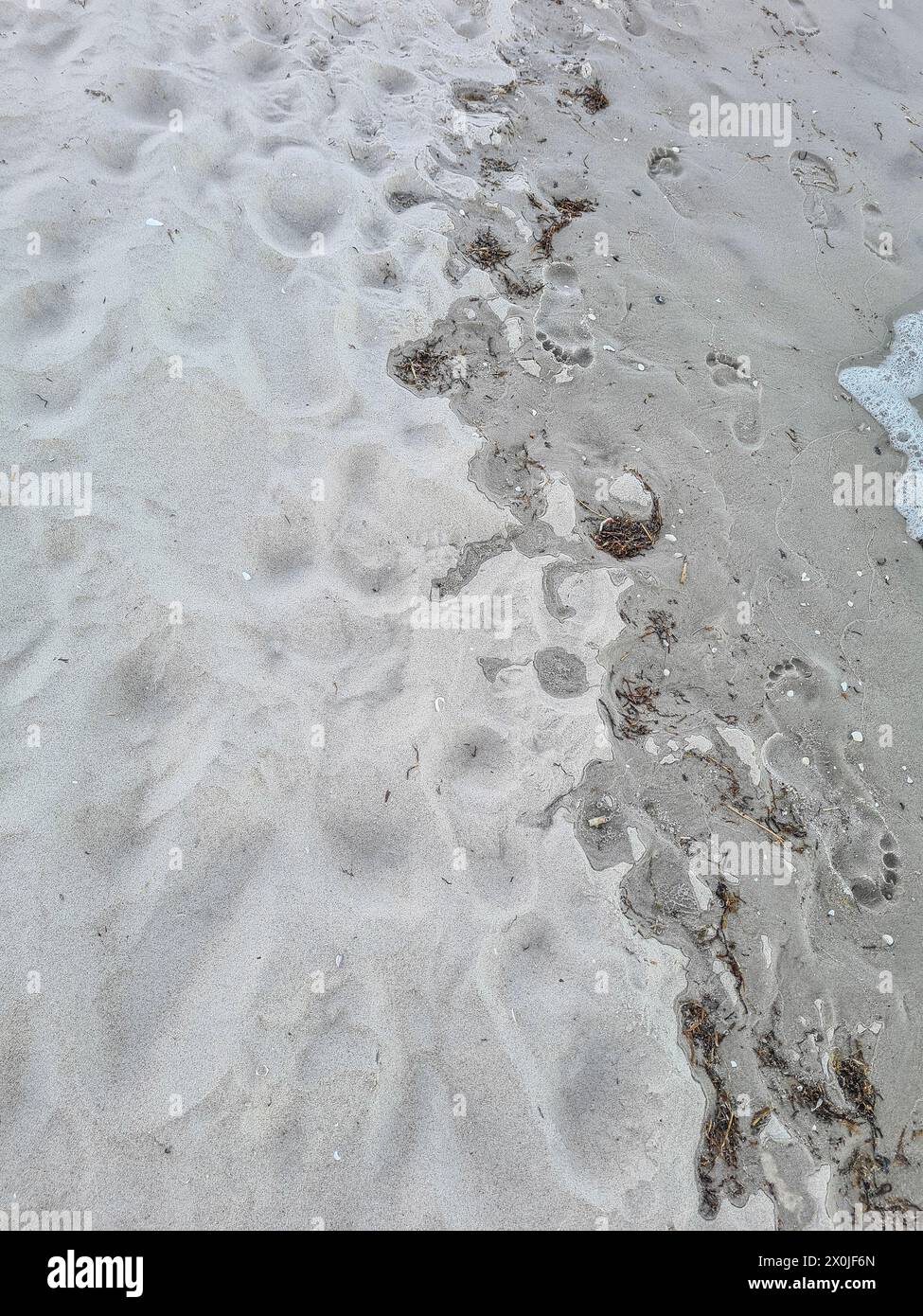 Trockener und nasser Sandboden am Wasserrand am Prerow-Strand, Mecklenburg-Vorpommern, Deutschland Stockfoto