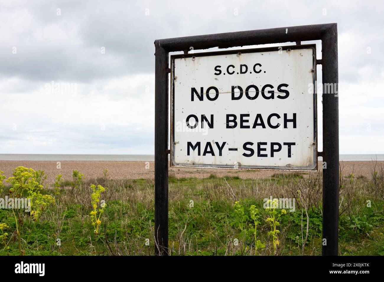 Keine Hunde am Strand anmelden Stockfoto