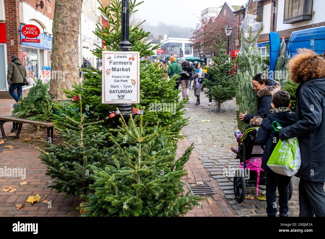 Weihnachtsbäume zum Verkauf, High Street, Lewes, East Sussex, Großbritannien. Stockfoto