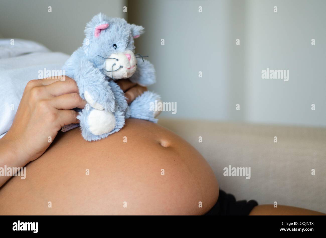 Schwangere Frau, die ein Kuscheltier im Bauch hält Stockfoto