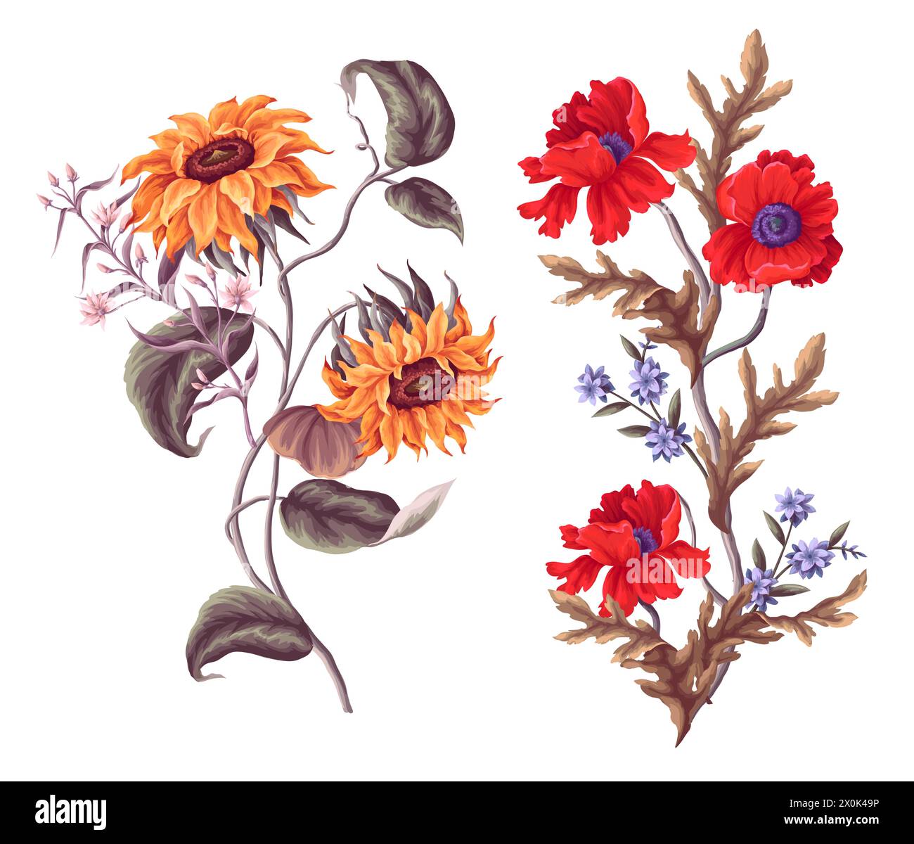 Blumensträuße mit Sonnenblumen, Mohn und anderen Wildblumen. Vektor Stock Vektor