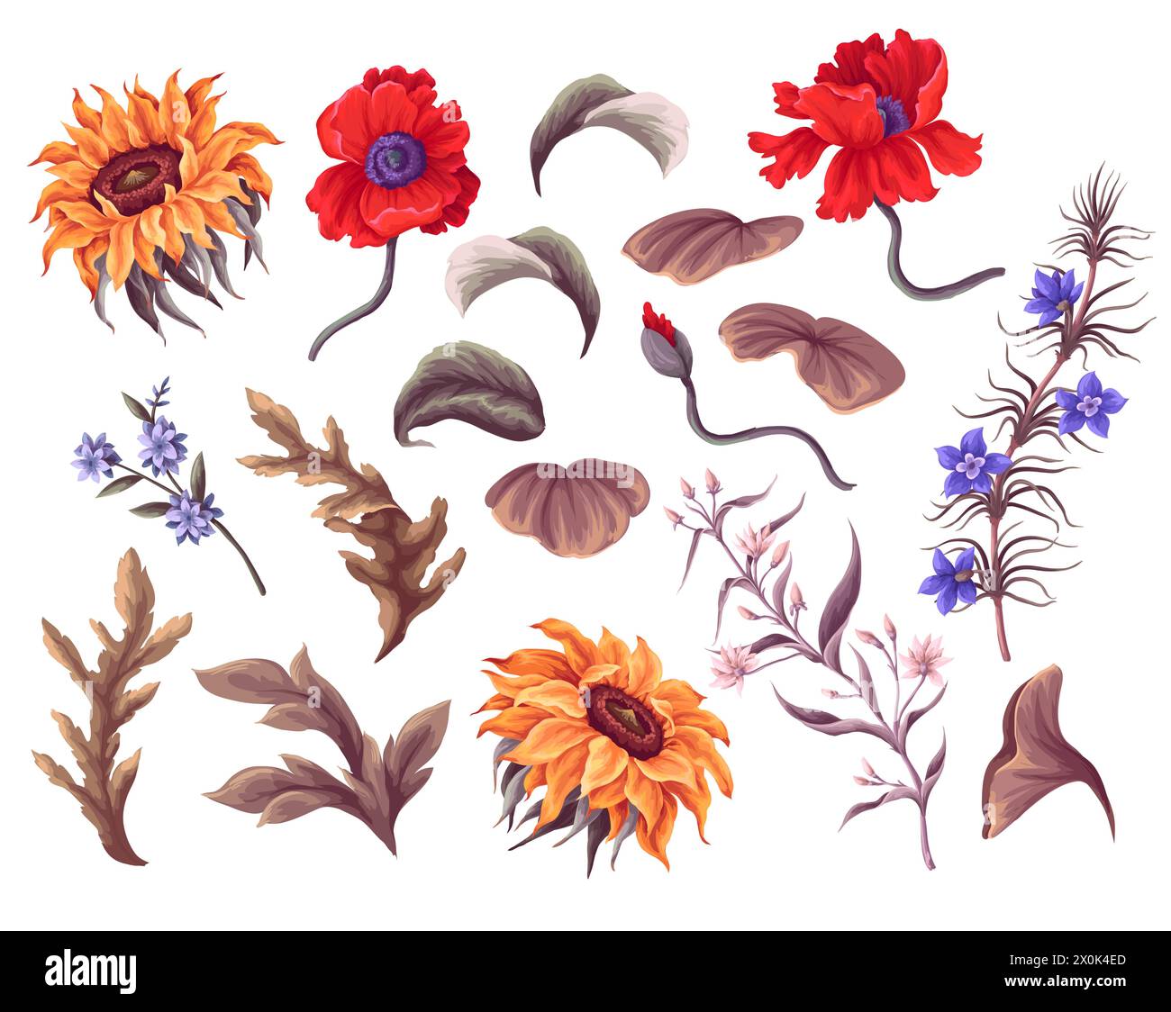 Sonnenblumen, Mohn und andere Wildblumen isoliert. Vektor. Stock Vektor