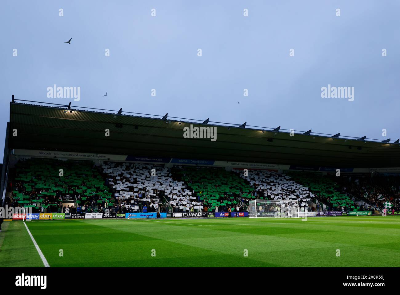 Plymouth Argyle Fans zeigen ihre Unterstützung vor dem Sky Bet