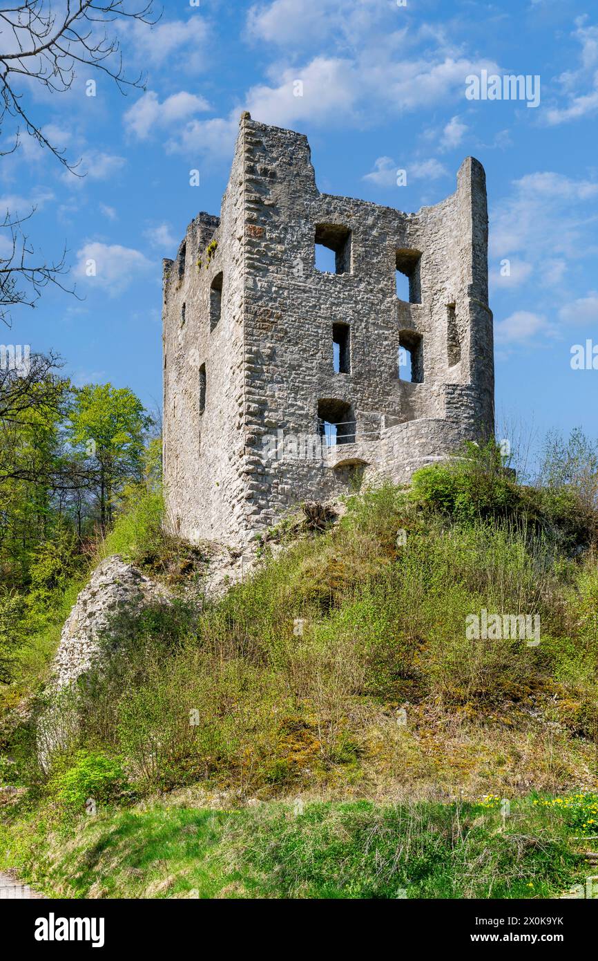 Bösingen - Herrenzimmern, Burgruine Herrenzimmern, eine Burg der Freiherren später Grafen von Zimmern. Stockfoto