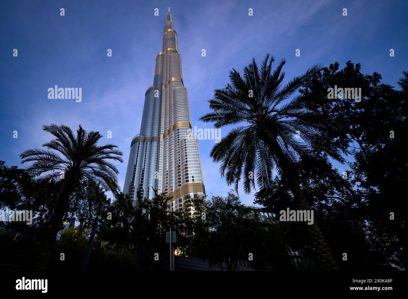 Burj Khalifa, Lake Burj Khalifa, Park Burj Khalifa by EMAAR, Palms, Stadtzentrum, Finanzviertel, Dubai, Vereinigte Arabische Emirate, VAR Stockfoto