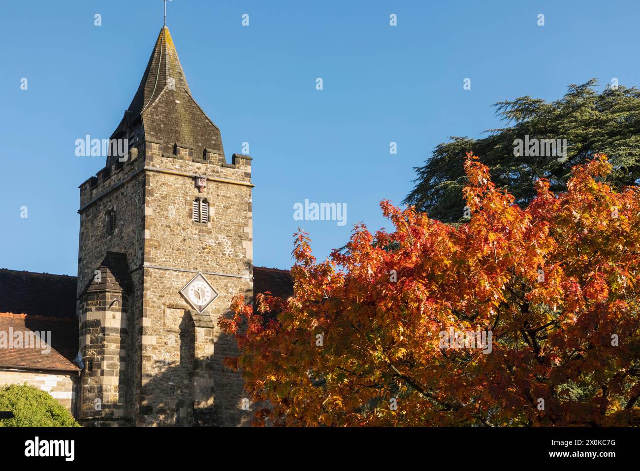 England, West Sussex, Midhurst, St. Mary Magdalen und St. Denys Stockfoto