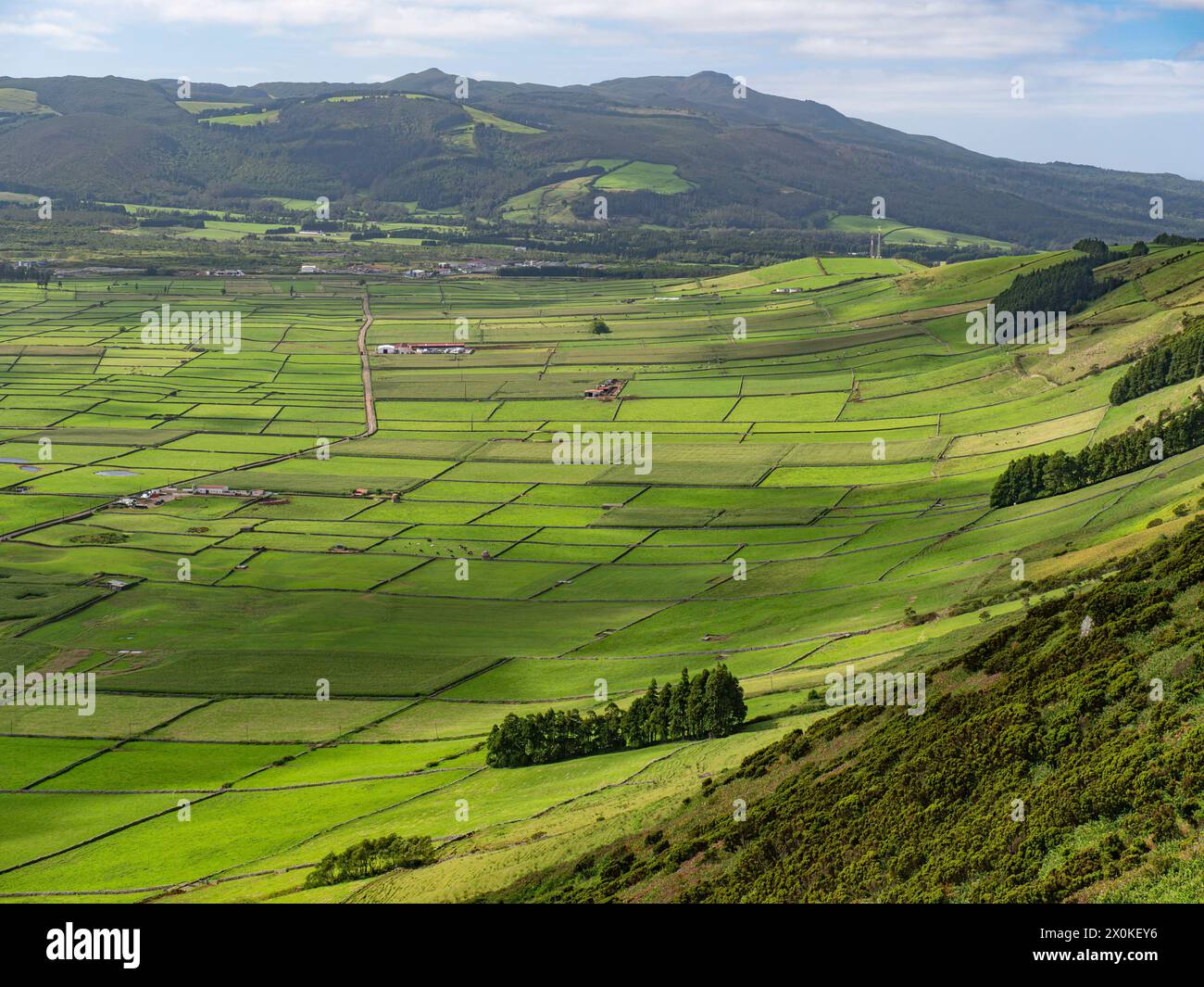 Azoren, Hügel von Serra do Cume und Serra da Ribeirinha, Terceira, Landschaft, grün, üppig, Natur, Landwirtschaft, gemäßigtes Klima, Insel, Atlantischer Ozean, Gulf Stream, Portugal Stockfoto