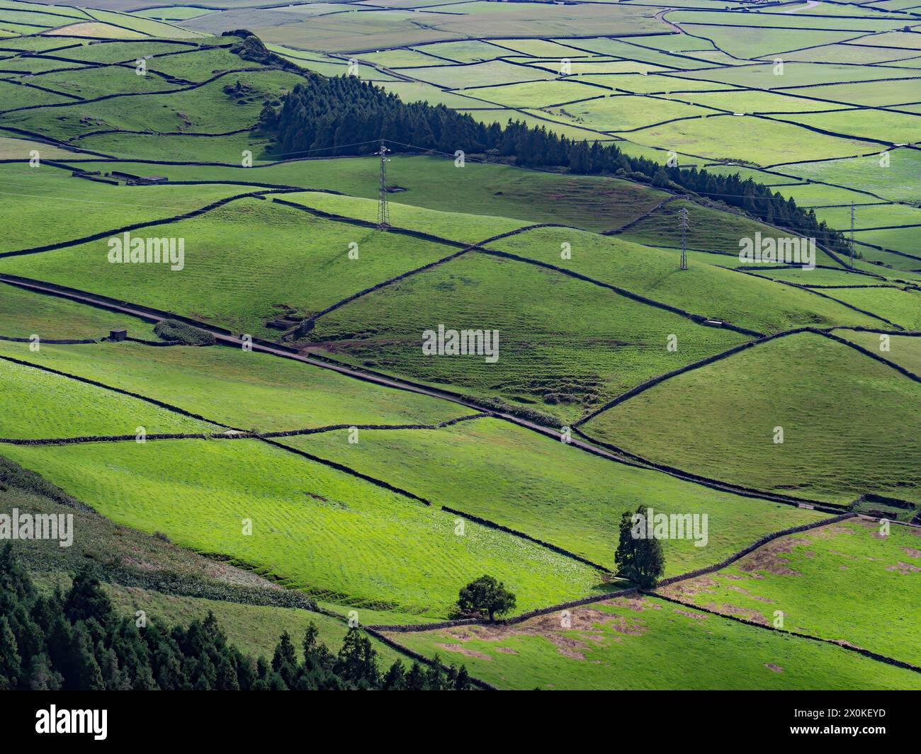 Azoren, Hügel von Serra do Cume und Serra da Ribeirinha, Terceira, Landschaft, grün, üppig, Natur, Landwirtschaft, gemäßigtes Klima, Insel, Atlantischer Ozean, Gulf Stream, Portugal Stockfoto
