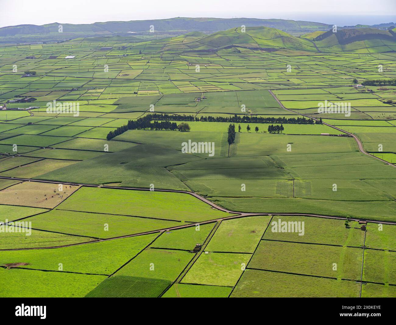 Azoren, Hügel von Serra do Cume und Serra da Ribeirinha, Terceira, Landschaft, grün, üppig, Natur, Landwirtschaft, gemäßigtes Klima, Insel, Atlantischer Ozean, Gulf Stream, Portugal Stockfoto