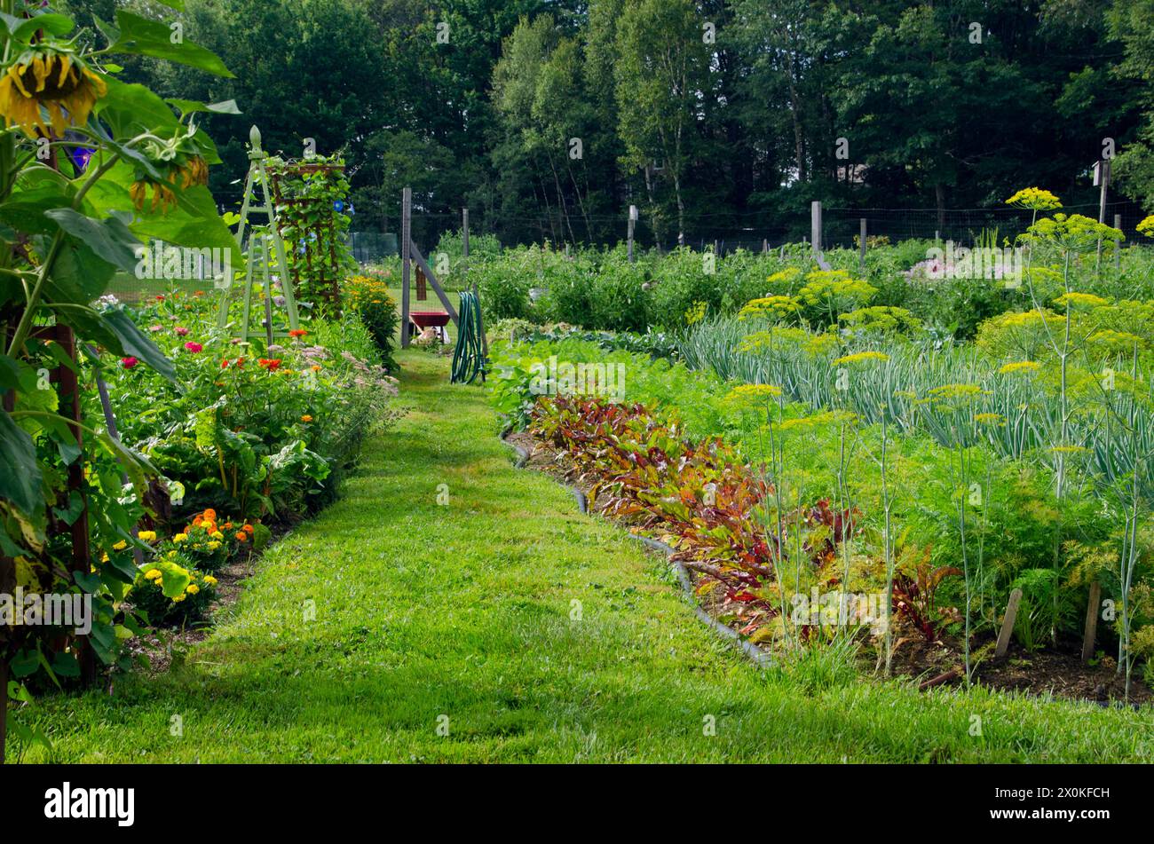 Yarmouth Community Garden, Yarmouth Maine, USA Stockfoto