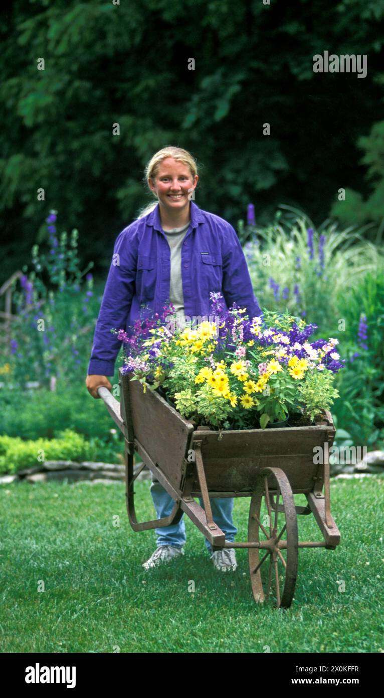 Junge Frau im Garten, die einen antiken Schubkarren voller Frühlingsblumen schiebt, bereit zum Pflanzen, Missouri, USA Stockfoto