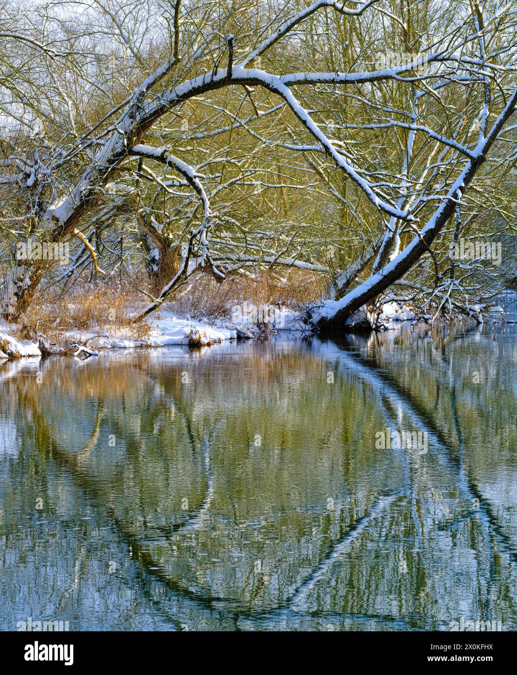 Europa, Deutschland, Hessen, Mittelhessen, Marburger Land, Winterstimmung an der Lahn bei Weimar, Weiden an der Flussbiegung bei Roth Stockfoto