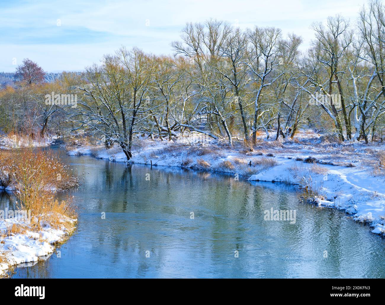 Europa, Deutschland, Hessen, Mittelhessen, Marburger Land, Winterstimmung an der Lahn bei Weimar, Schwemmwald an der Flussbiegung bei Roth Stockfoto