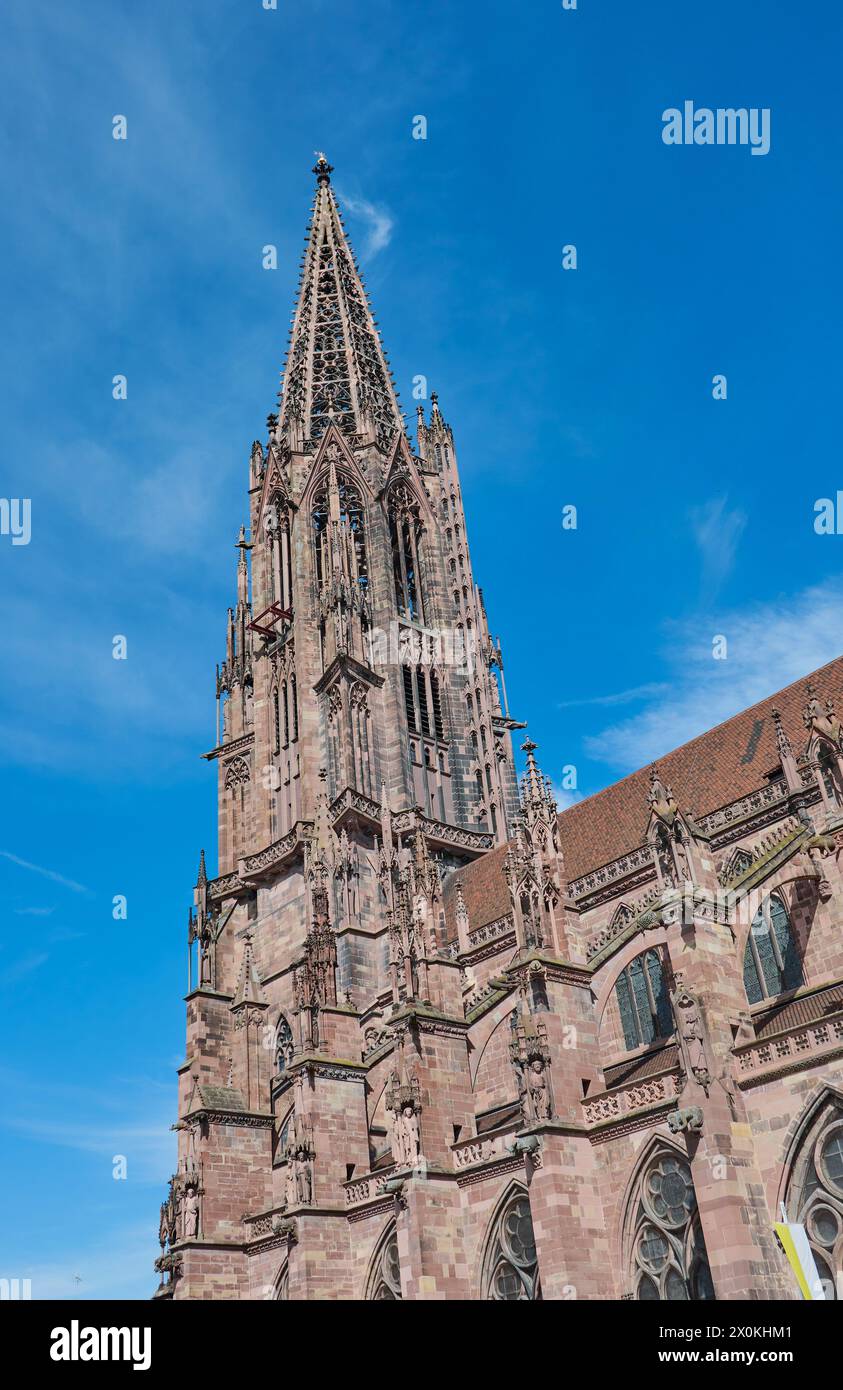 Die berühmte Münsterkirche in Freiburg Stockfoto
