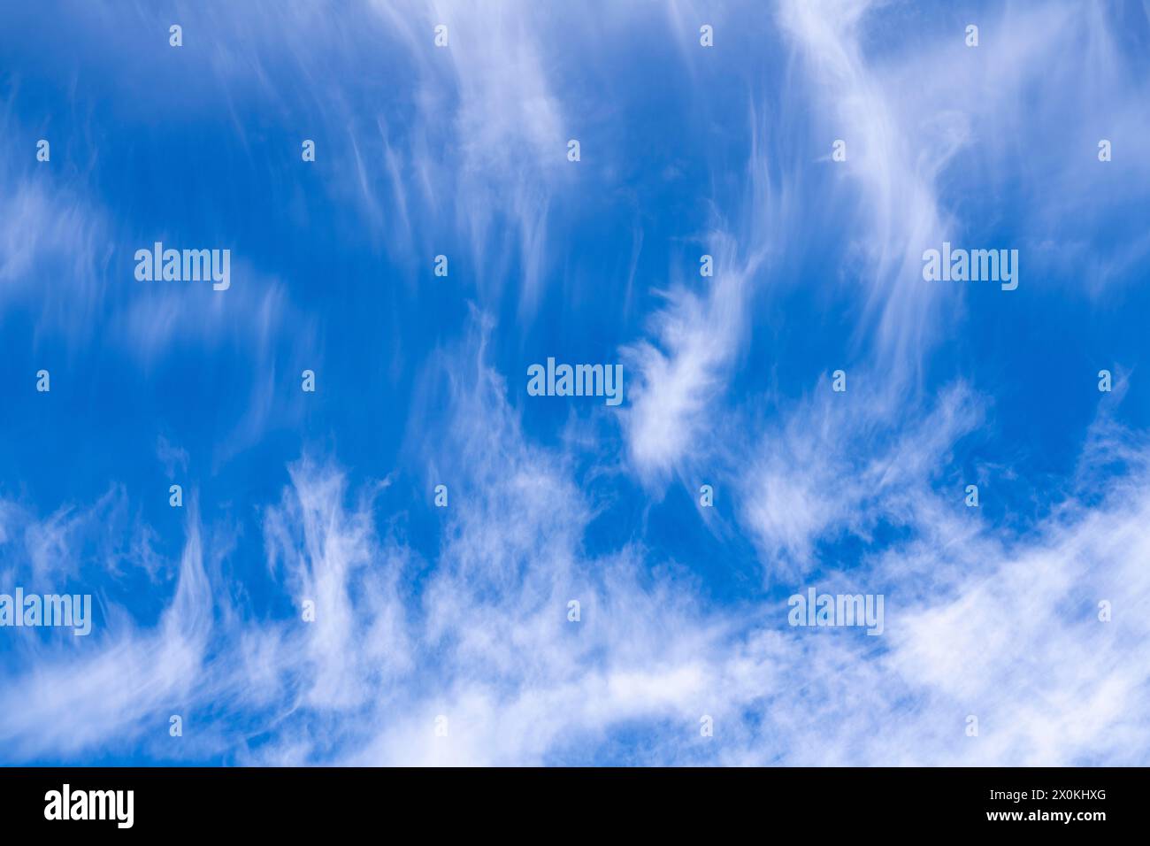 Cirrus Wolken, Eiswolken in großer Höhe, auch bekannt als Federwolken, Stockfoto