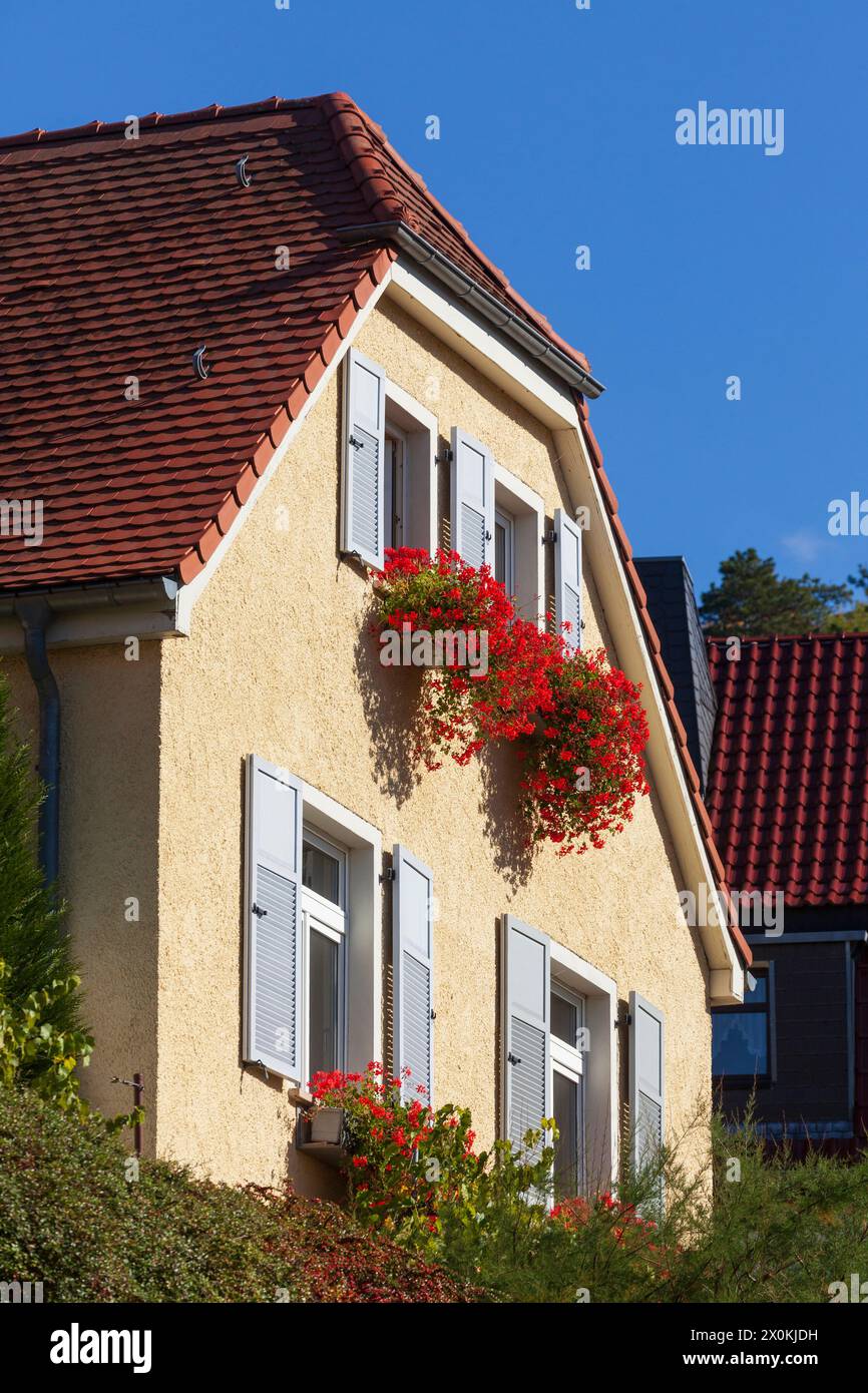 Wohngebäude, Freyburg an der Unstrut, Burgenlandkreis, Sachsen-Anhalt, Deutschland, Europa Stockfoto