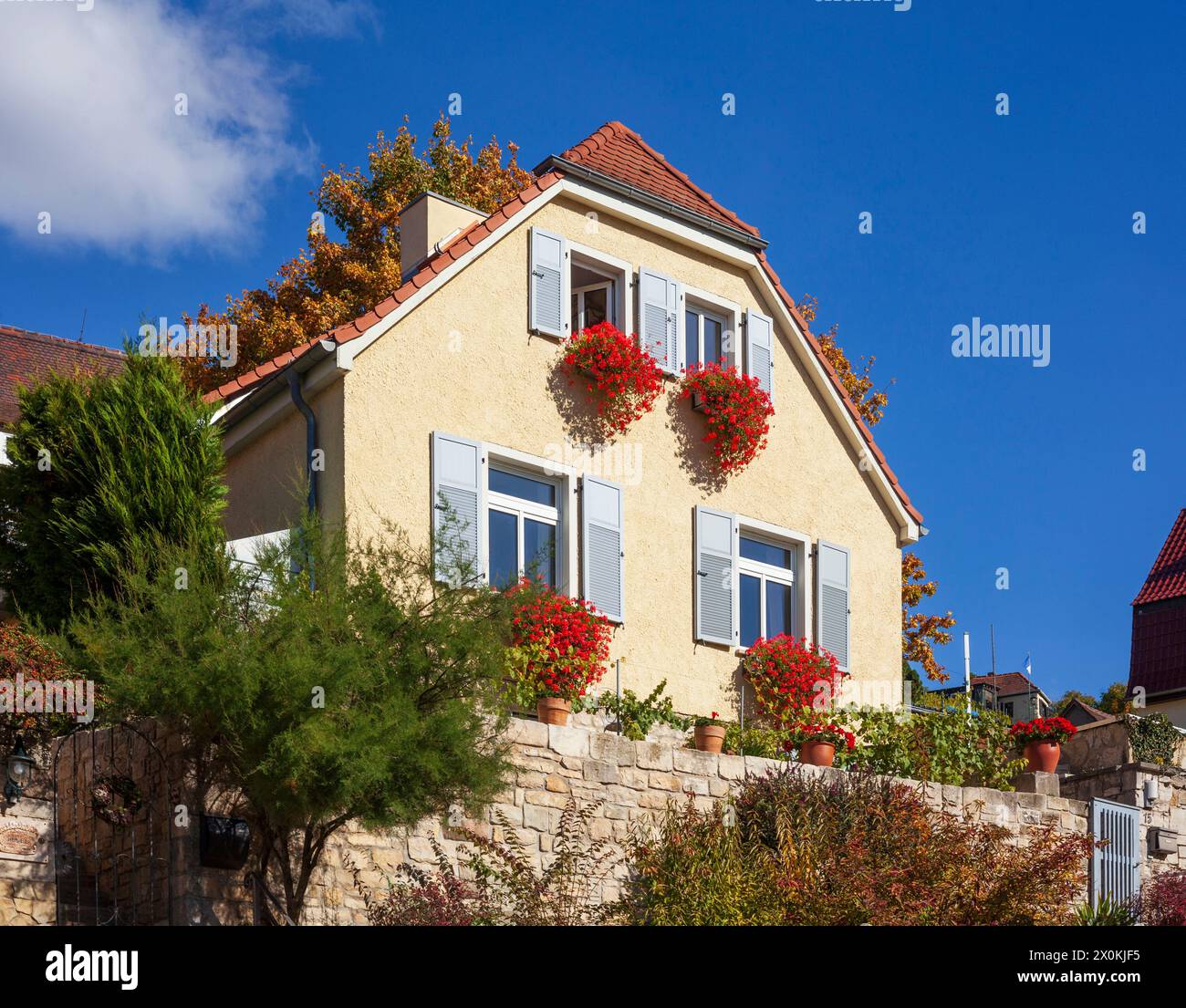 Wohngebäude, Freyburg an der Unstrut, Burgenlandkreis, Sachsen-Anhalt, Deutschland, Europa Stockfoto