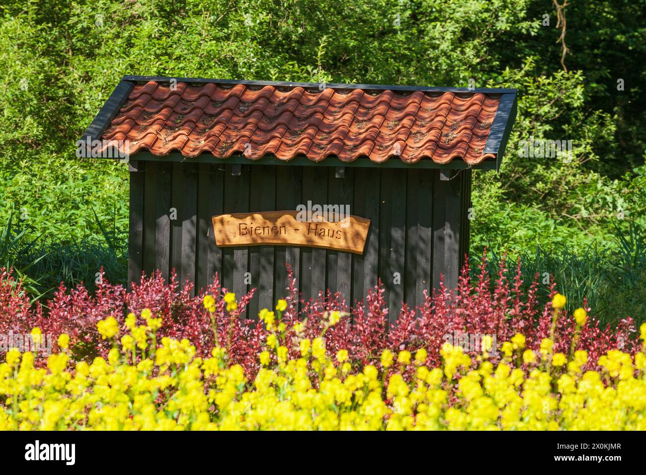 Bienenhaus im Heimatmuseum Heimathaus Rotenburg, Rotenburg an der Wümme, Niedersachsen, Deutschland, Europa Stockfoto