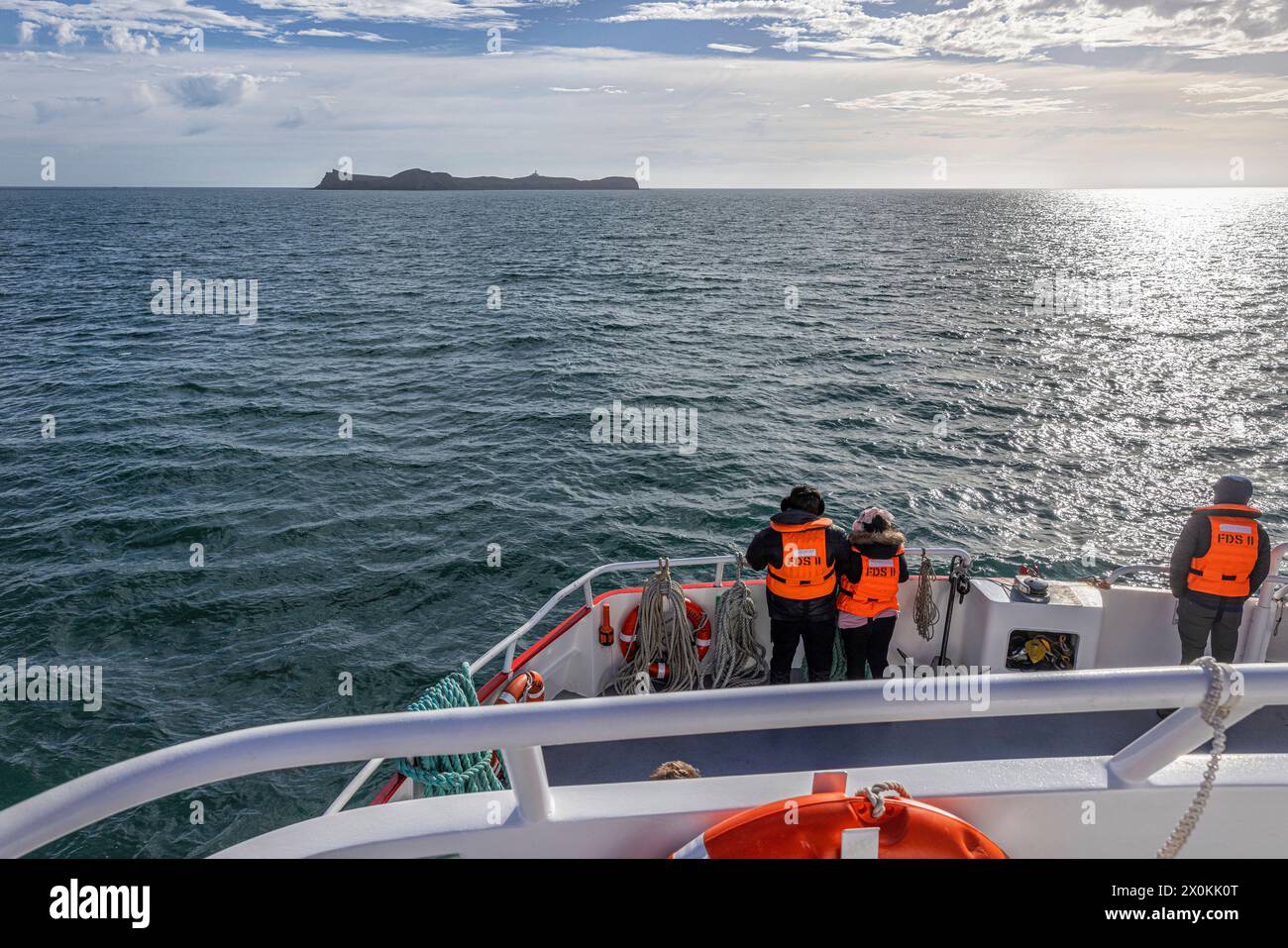 Blick auf die Isla Magdalena von einem Schiff, Isla Magdalena, Magallanes y la Antarktica Chilena, Chile. Stockfoto