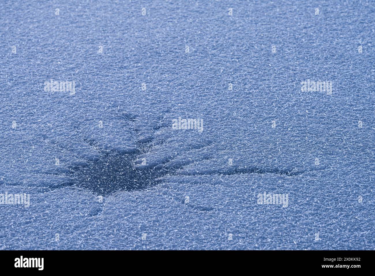 Sternförmiger Riss im Eis und feine Eiskristalle auf einem gefrorenen See, Deutschland Stockfoto