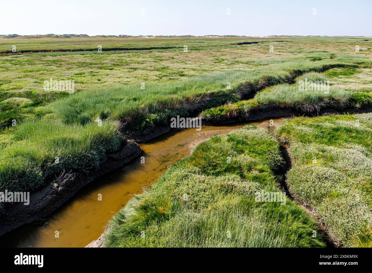 Marschland in Nordfriesland, Sankt Peter-Ording, Schleswig-Holstein. Stockfoto
