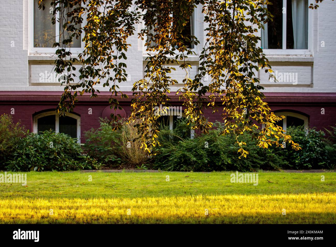 Abendsonne im Garten. Stockfoto