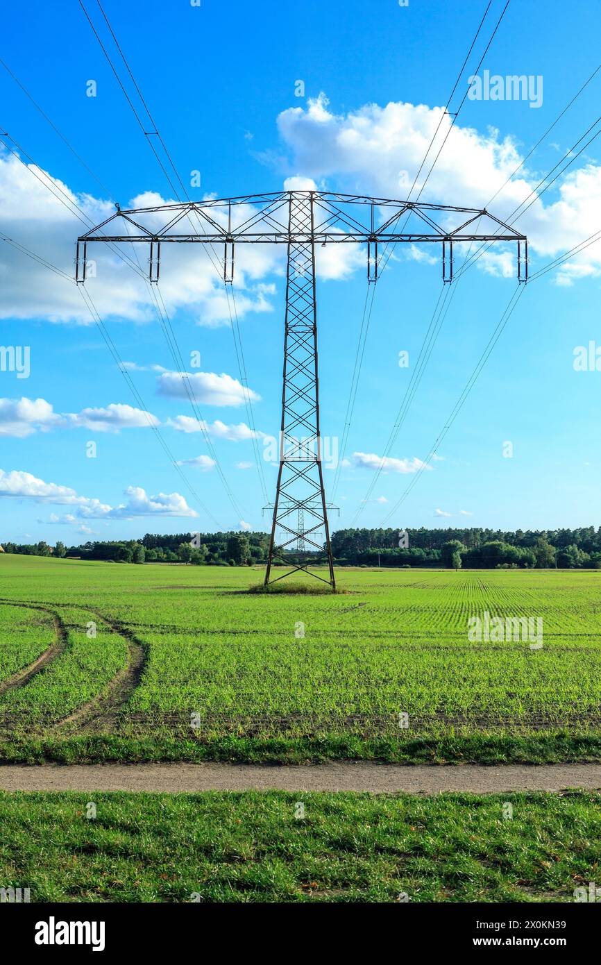 Strommasten, Freileitungen, Energieversorgung, Mecklenburg-Vorpommern, Deutschland. Stockfoto