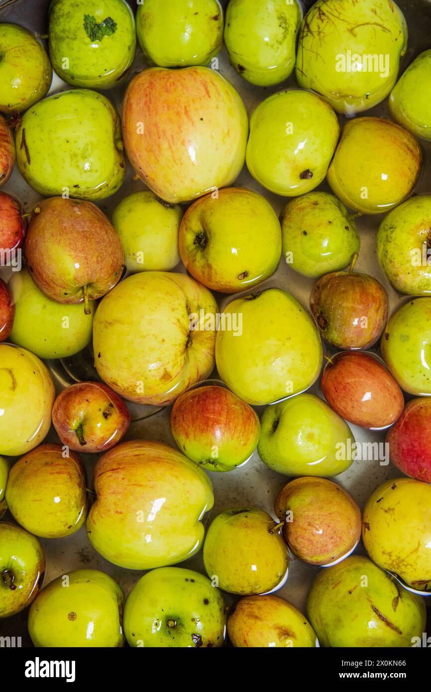 Gefallene Früchte, Äpfel im Wasser Stockfoto