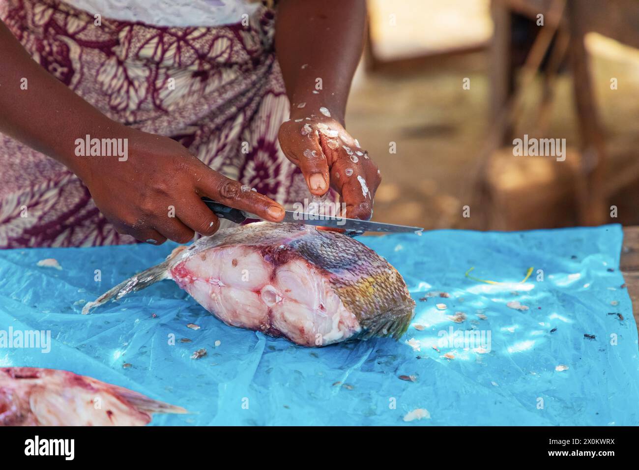 Toamasina, Madagaskar. 18. oktober 2023. Frischer Fisch, lokaler Markt. Frauen putzen und verkaufen frischen Fisch. Hände und Stücke fischen im Fokus. Lokaler Geschmack. Stockfoto