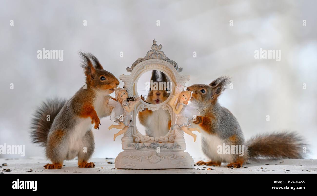 Rote Eichhörnchen stehen mit einem Fensterrahmen mit Engeln Stockfoto