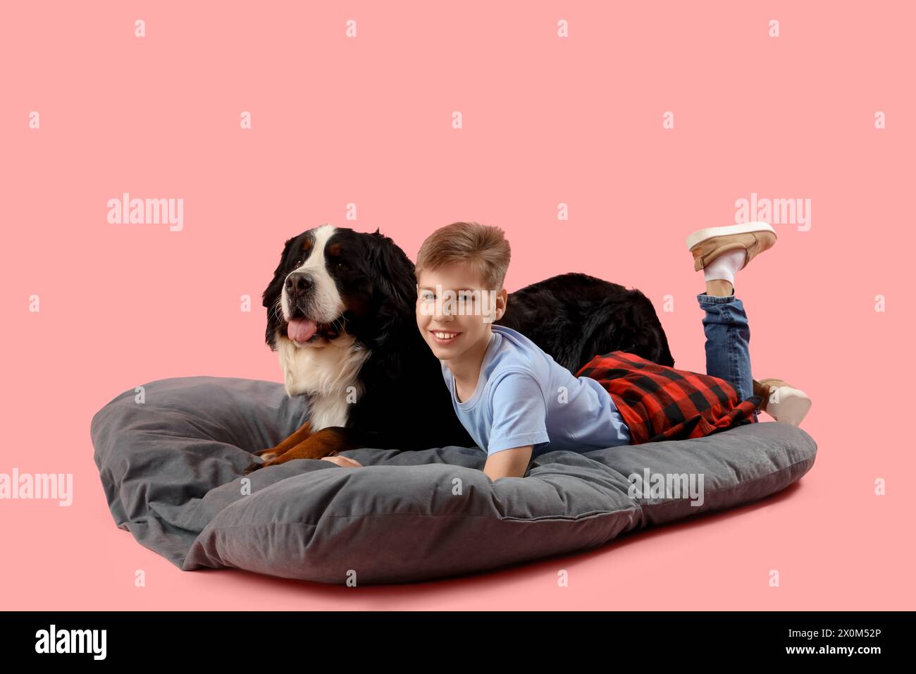 Kleiner Junge mit Berner Berghund, der auf einem Haustierbett vor rosafarbenem Hintergrund liegt Stockfoto