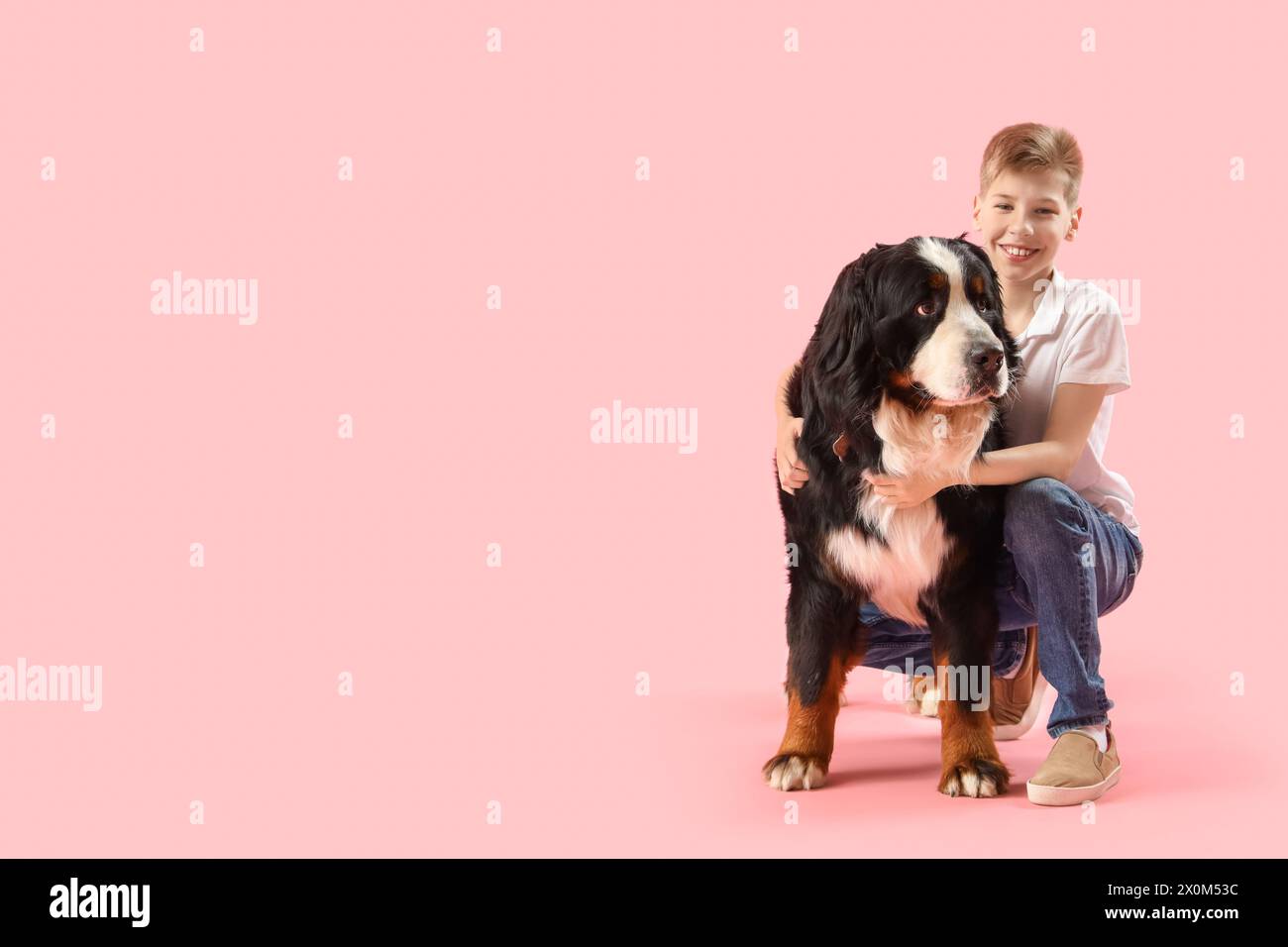 Kleiner Junge mit Berner Berghund auf rosa Hintergrund Stockfoto