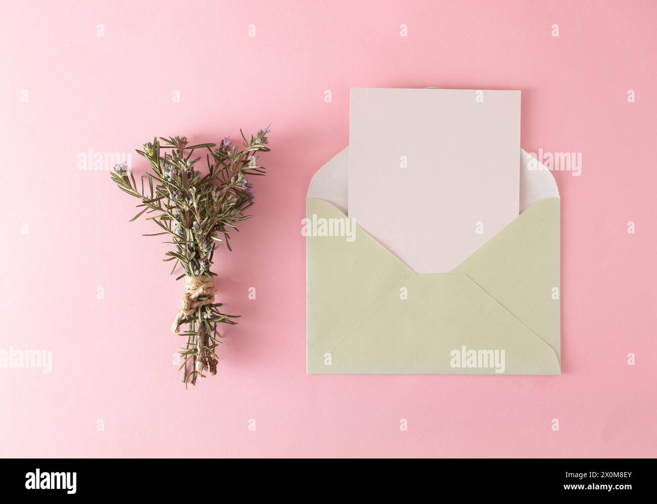 Rosmarinzweige und ein Umschlag auf dem pinken Tisch. Kreatives minimalistisches Konzept. Kopierbereich Stockfoto