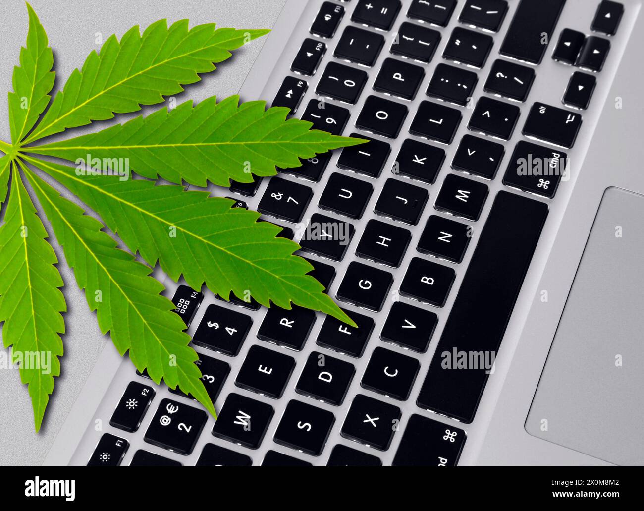 Tastatur und Cannabisblatt, Illustration. Dies steht für die Möglichkeit, Cannabis online zu kaufen. Stockfoto