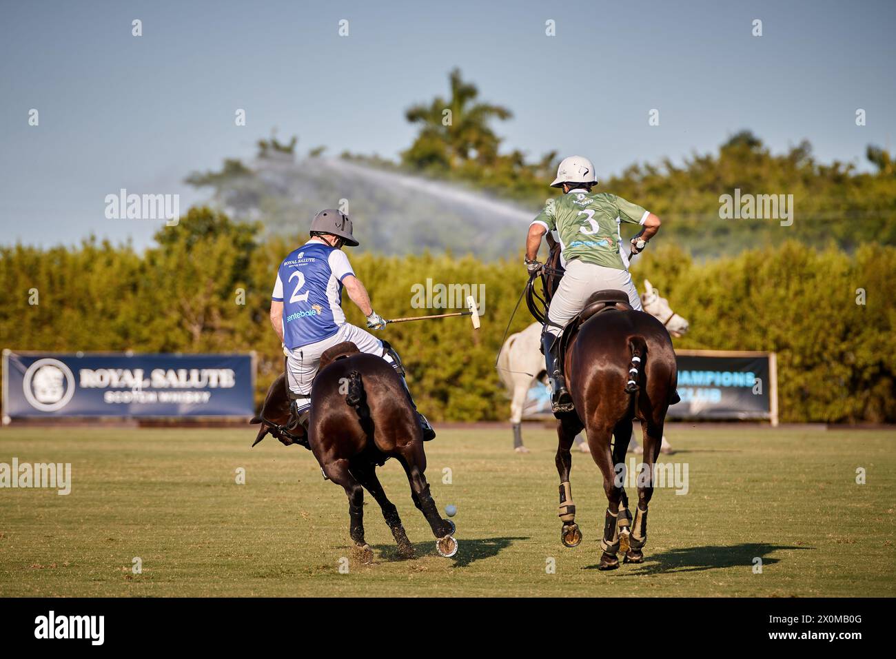 Wellington, Florida, USA. April 2024. Prinz Harry, Duke of Sussex, Mitbegründer von Sentebale, spielt im Royal Salute Sentebale Team gegen das Grand Champions Team, das von seinem langjährigen Freund und Botschafter der Wohltätigkeitsorganisation, dem argentinischen Polospieler Nacho Figueras und dem Maseru Team, angeführt wird. Quelle: Yaroslav Sabitov/YES Market Media/Alamy Live News. Stockfoto