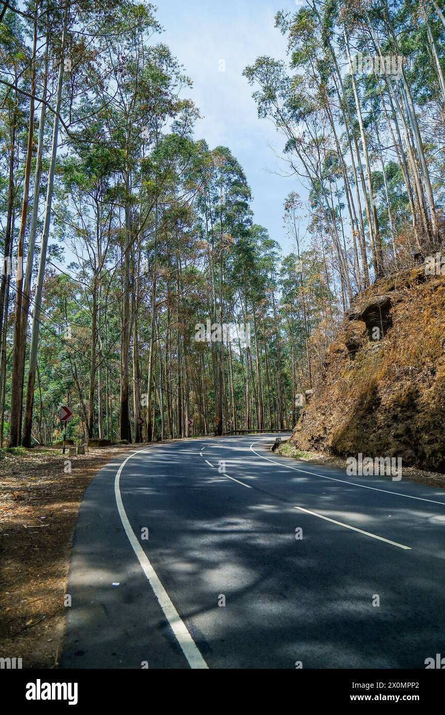 Wunderschöne Hügellandkurve in Nuwara Eliya Sri Lanka Stockfoto