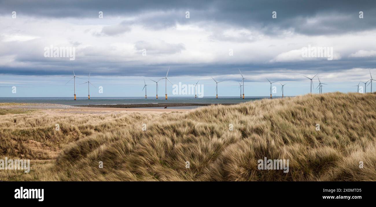 Die Küste am South Gare mit den Offshore-Windturbinen in Redcar, England, Großbritannien. Dickes Gras Stockfoto