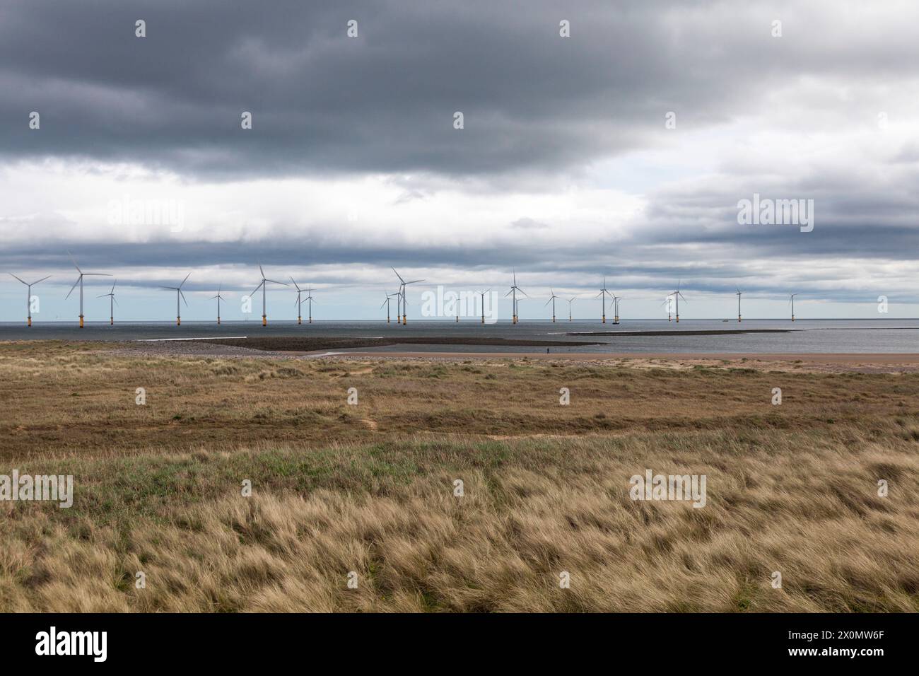 Die Küste am South Gare mit den Offshore-Windturbinen in Redcar, England, Großbritannien. Dickes Gras Stockfoto
