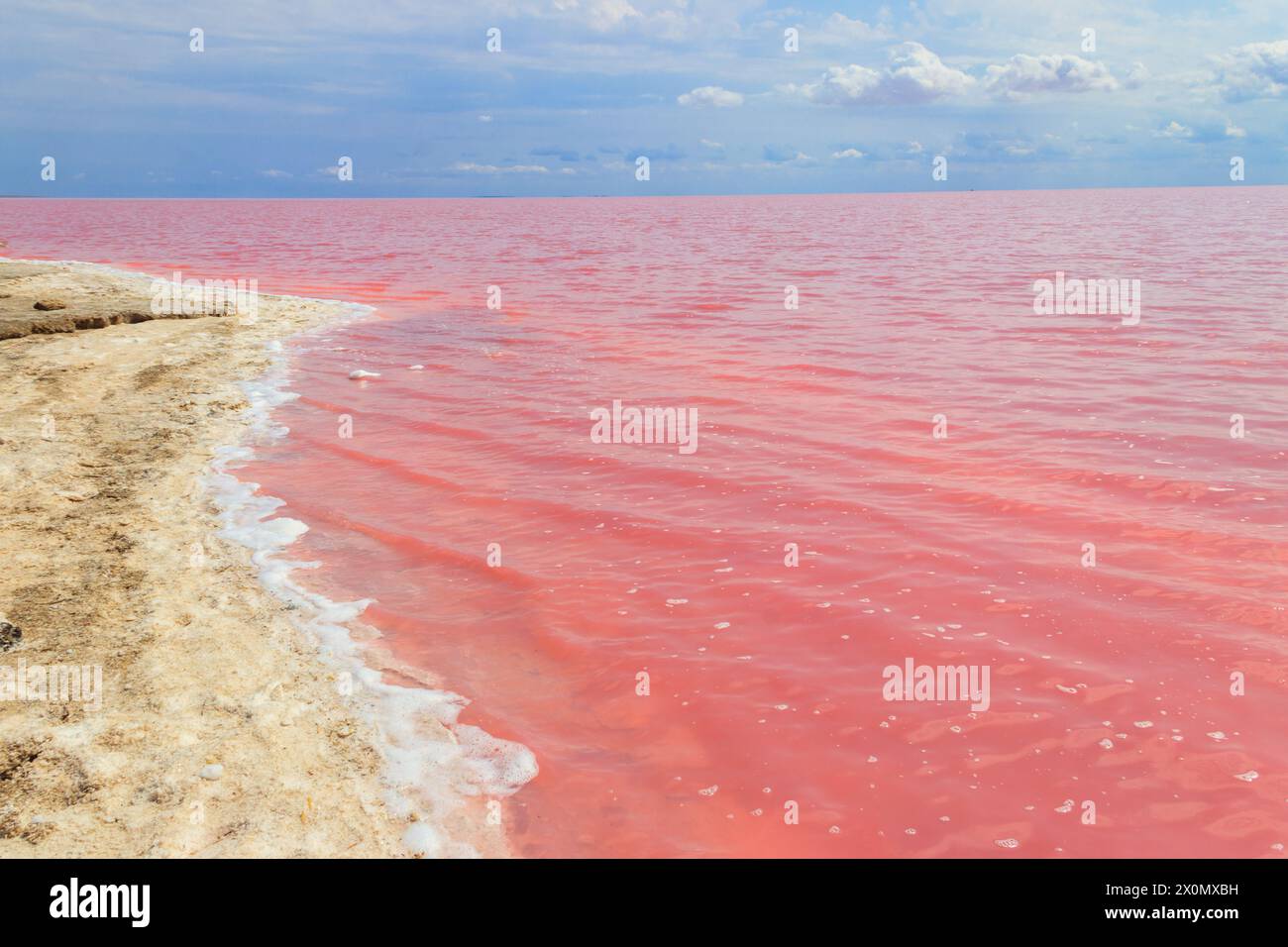 Blick auf den rosafarbenen, salzigen Syvash-See in der Region Cherson, Ukraine Stockfoto