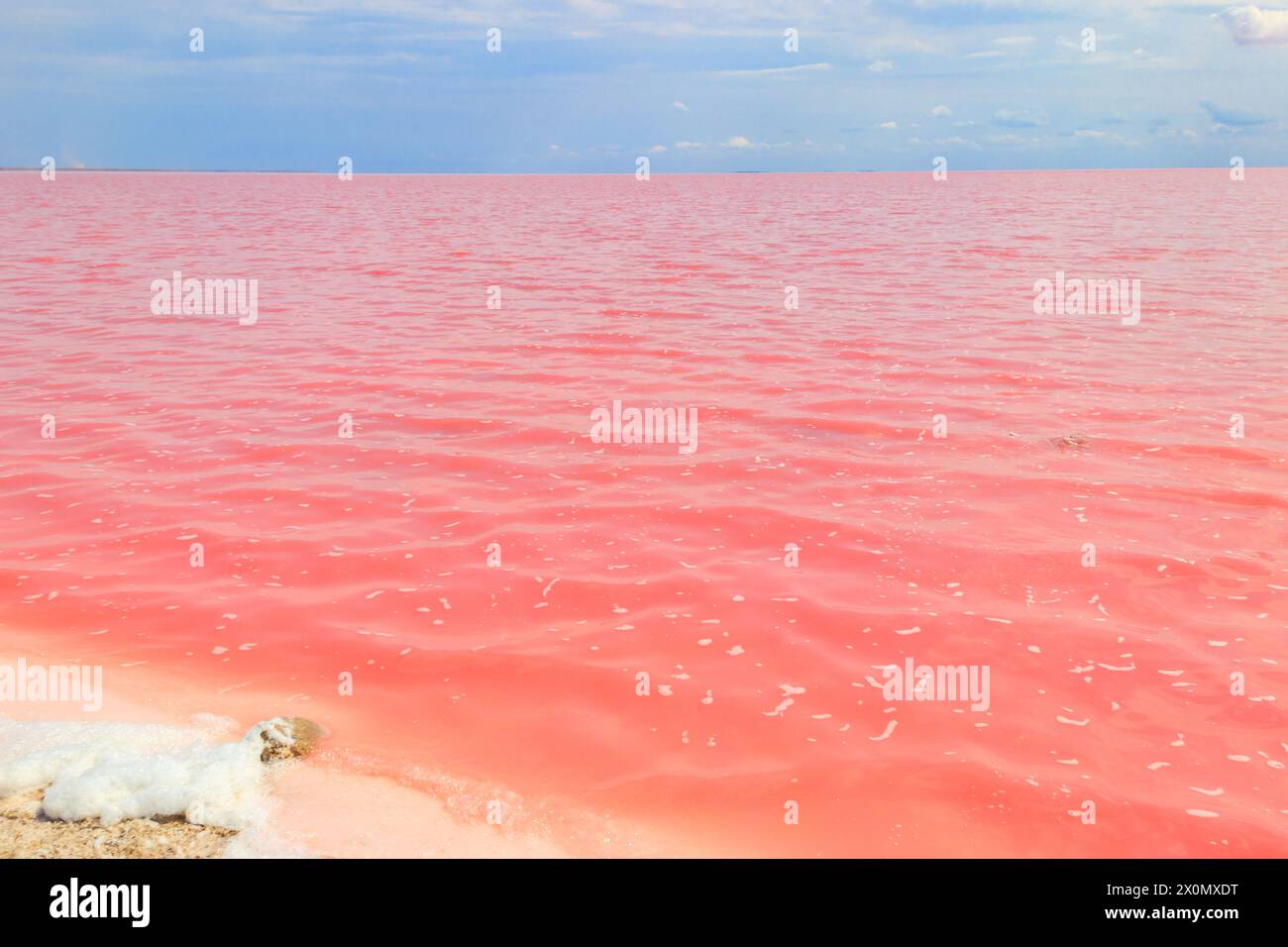 Blick auf den rosafarbenen, salzigen Syvash-See in der Region Cherson, Ukraine Stockfoto