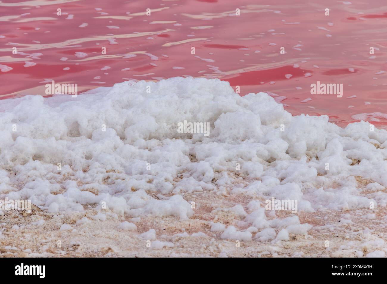 Die Oberfläche des rosa salzigen Syvash-Sees in der Region Cherson, Ukraine. Natürlicher Hintergrund, Textur Stockfoto