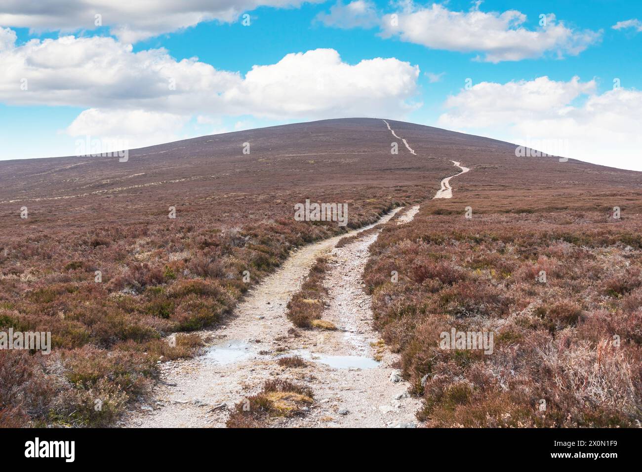 Der Weg auf den Peter Hill bei Finzean, Aberdeenshire, Schottland Stockfoto