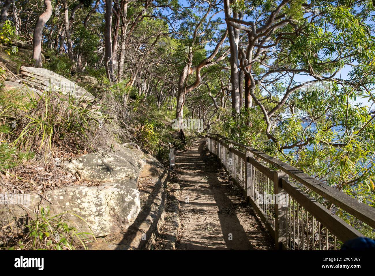 Bradleys Head Wanderweg am Nordufer des Hafens von Sydney, ist Teil des 80 km langen Bondi to Manly Wanderwegs, bietet Blick auf den Hafen und die Stadt, Sydney Stockfoto