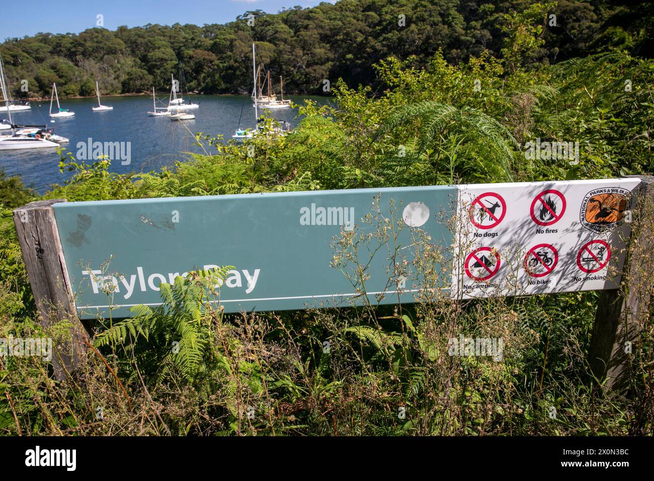 Taylors Bay am Hafen von Sydney, Teil der unteren Nordküste und zugänglich über den malerischen Wanderweg Bondi to Manly in Mosman, Sydney, NSW, Australien Stockfoto