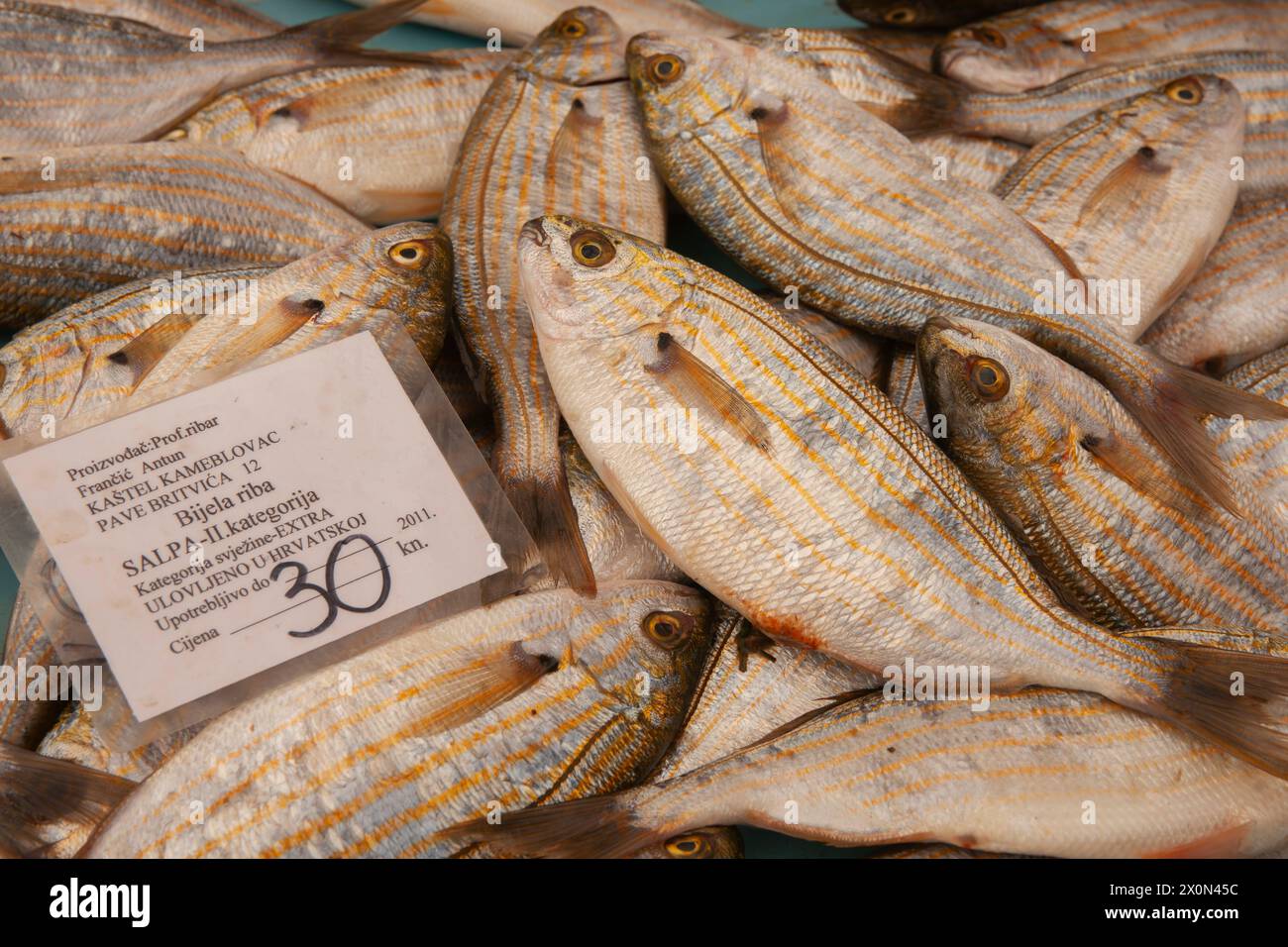 Split Kroatien - 27. Mai 2011; Fang von Salema porgy Weißfisch zum Verkauf auf dem Fischmarkt. Stockfoto
