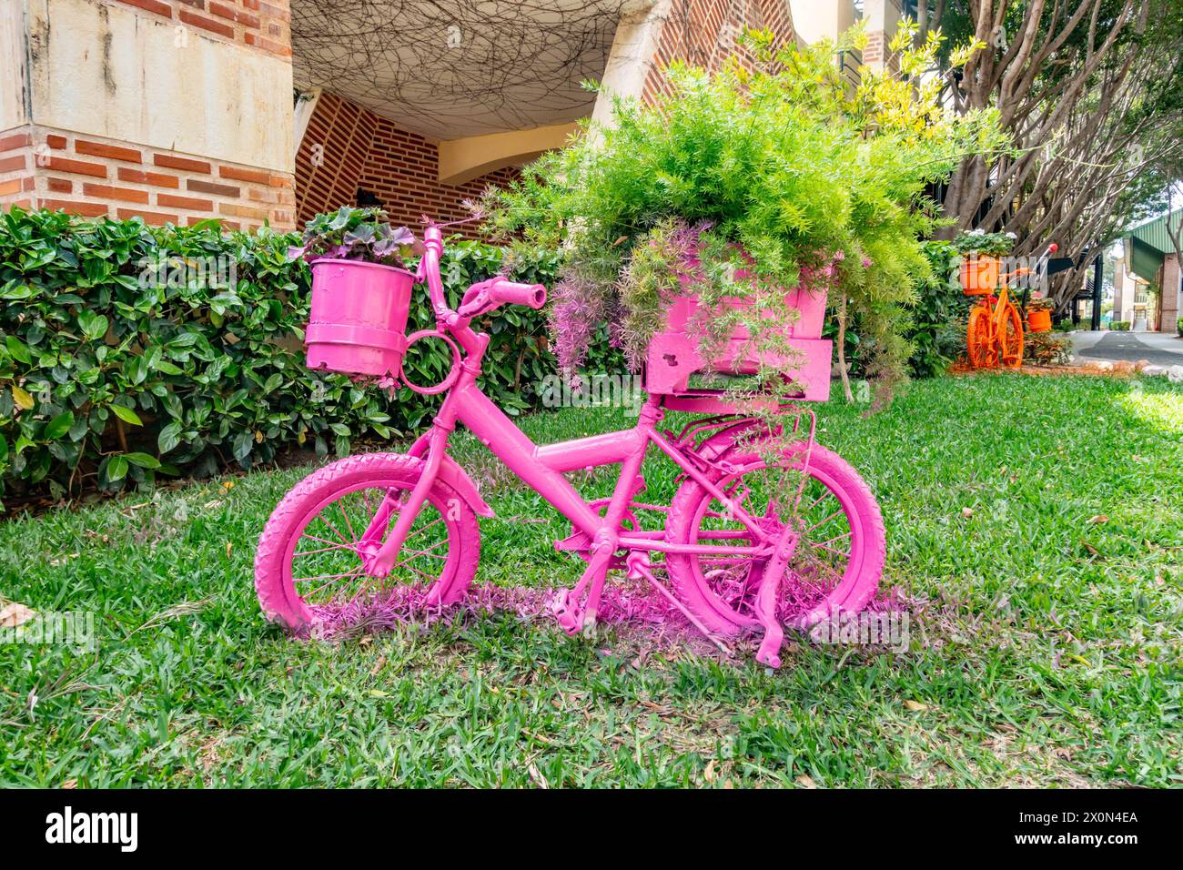 Ein altes Fahrrad, das mit Sprühfarbe umfunktioniert wurde, um es in einen dekorativen, farbenfrohen Gartentopf zu verwandeln Stockfoto