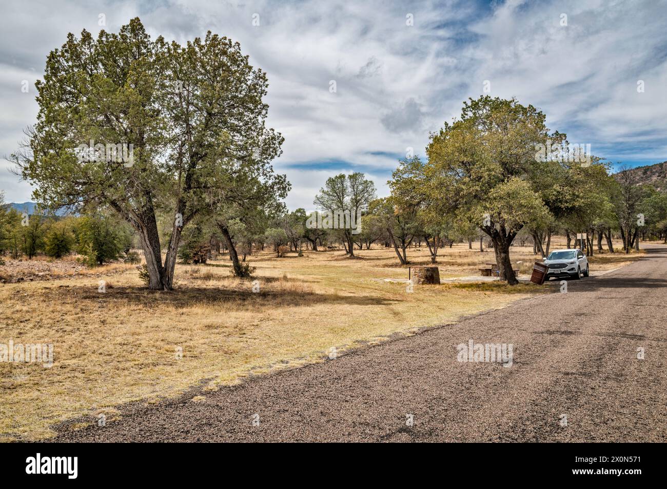 Campingfahrzeug am Madera Canyon Roadside Park, verteiltes Camping erlaubt, Madera Canyon, Davis Mountains, in der Nähe von Fort Davis, Texas, USA Stockfoto