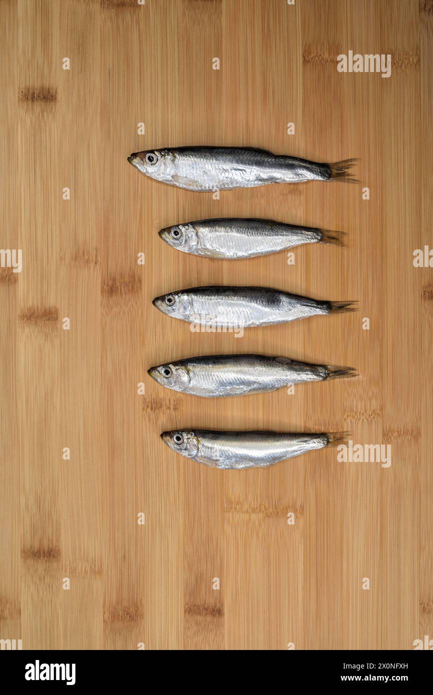 Frische Sardellen Fisch auf hölzernem Schneidebrett Hintergrund. Roher Fisch zum Kochen zubereitet. Stockfoto