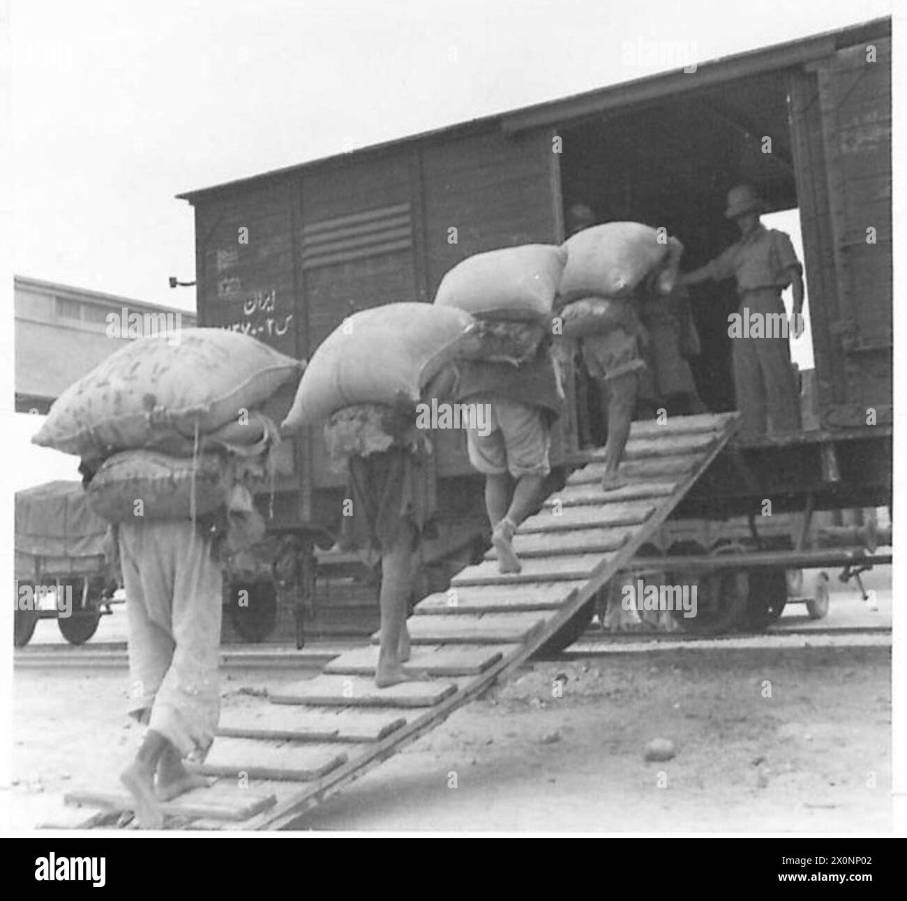 Das Getreide wird in einen Kastenwagen transportiert und per Bahn nach Russland transportiert. Fotografisches negativ dokumentiert die Versorgungsoperationen der Britischen Armee. Stockfoto
