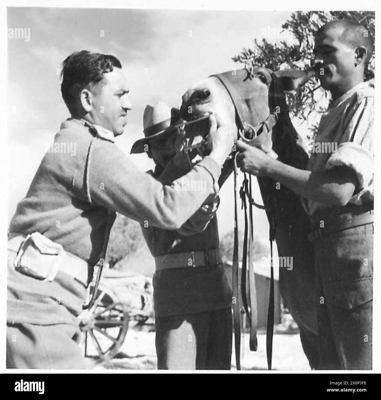 Der Tierarzt des Unternehmens verabreicht einem Maultier Medikamente mit einem Instrument, um seinen Mund in einer indischen Mule Pack Company zu öffnen. Fotografisches negativ der britischen Armee. Stockfoto